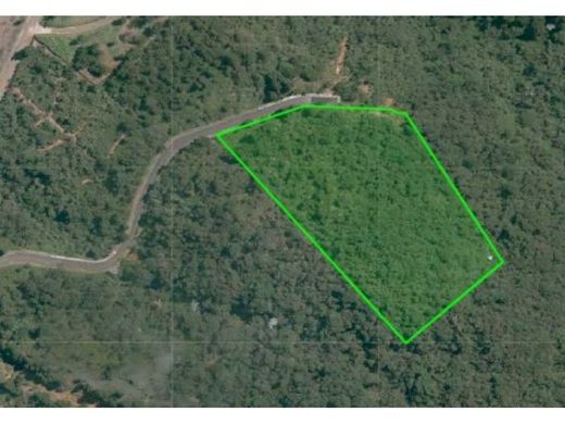 ‏קרקע ב  מדיין
, Medellín