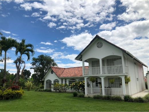 Propriété de campagne à La Tebaida, Quindío Department