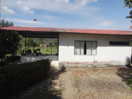 Quinta rústica - Nunchía, Departamento de Casanare