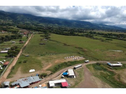 ‏קרקע ב  Calima, Buenaventura