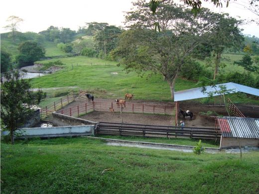 Farmhouse in Puerto Boyacá, Departamento de Boyacá