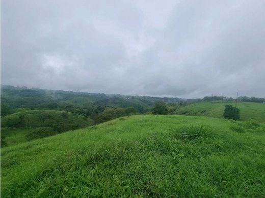 Terreno - Filandia, Quindío Department