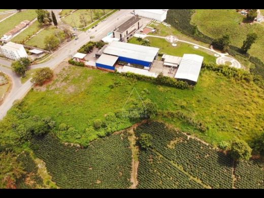 Αγροτεμάχιο σε Armenia, Quindío Department