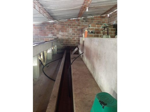 Farmhouse in Ciudad Bolívar, Departamento de Antioquia