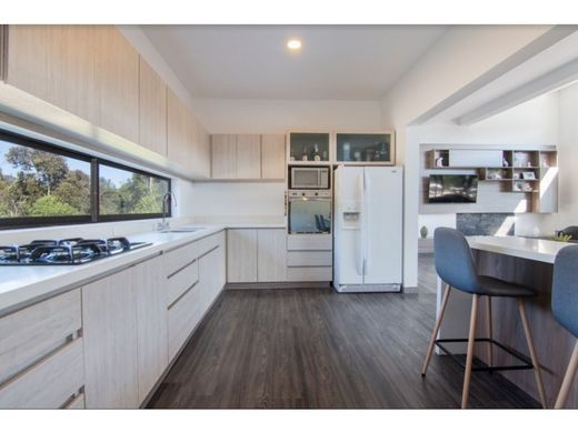 Gospodarstwo w Medellín, Departamento de Antioquia