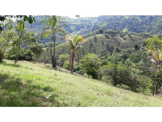 Boerderij in Filadelfia, Departamento de Caldas