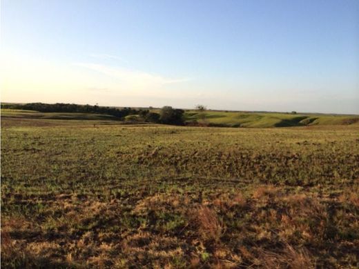 ﻣﻨﺰﻝ ﺭﻳﻔﻲ/ ﺑﻴﺖ ﻤﺰﺭﻋﺔ ﻓﻲ Puerto López, Departamento del Meta