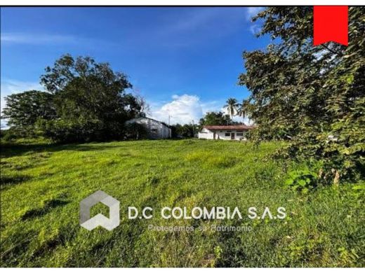 Terrain à Carmen de Apicalá, Departamento de Tolima