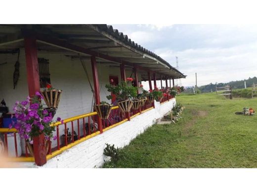 Ferme à Circasia, Quindío Department