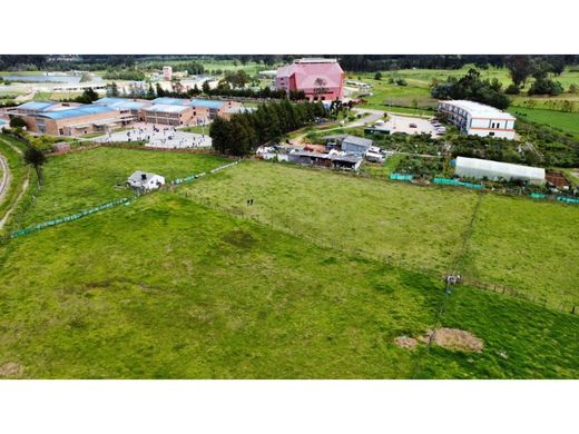 Tocancipá, Departamento de Cundinamarcaの土地