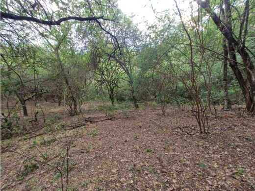 Terreno en Sopetrán, Liborina