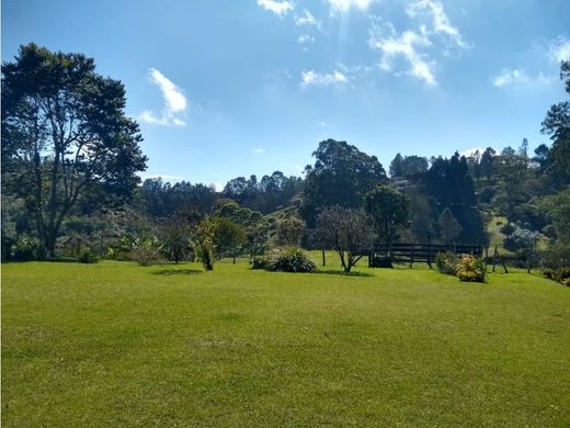 ‏קרקע ב  Rionegro, Departamento de Antioquia