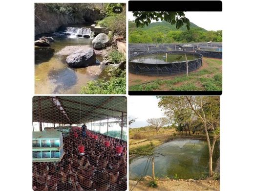 전원/농가 / Pueblo Bello, Departamento del Cesar