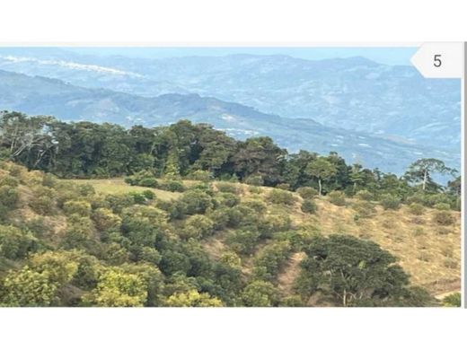 Boerderij in Apía, Departamento de Risaralda