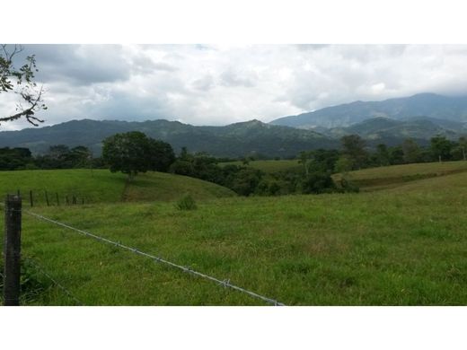 Boerderij in Villavicencio, Departamento del Meta