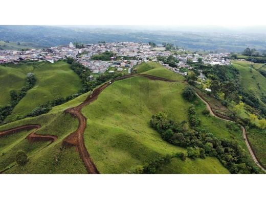 地皮  Filandia, Quindío Department