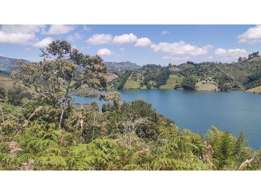 地皮  El Peñol, Yarumal
