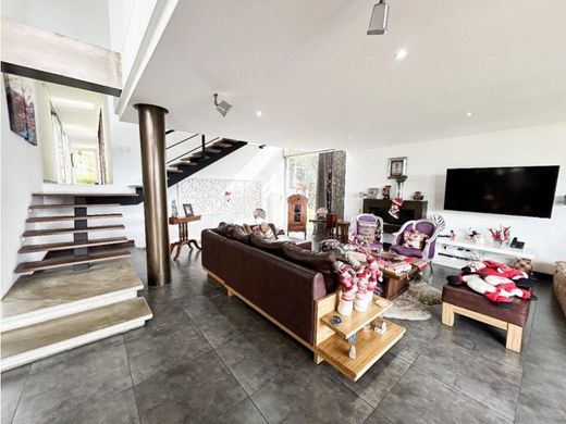 호화 저택 / 메데인, Medellín