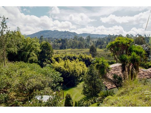 Arsa Guarne, Departamento de Antioquia