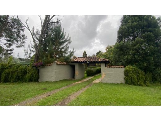 ﻣﻨﺰﻝ ﺭﻳﻔﻲ/ ﺑﻴﺖ ﻤﺰﺭﻋﺔ ﻓﻲ Rionegro, Departamento de Antioquia