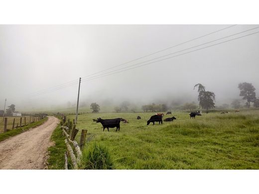 Rustik ya da çiftlik Bojacá, Departamento de Cundinamarca