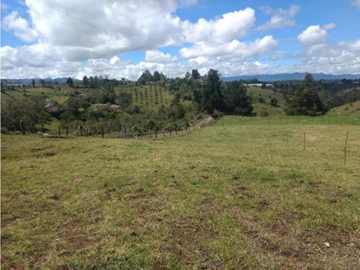 Terreno - Rionegro, Departamento de Antioquia