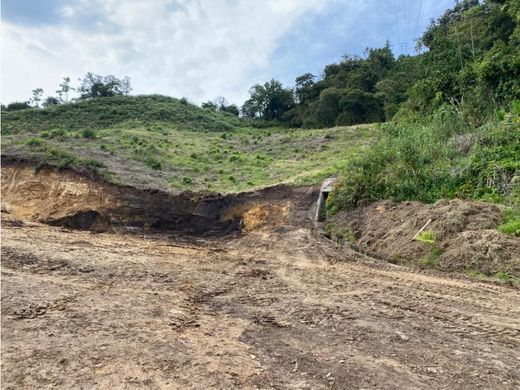 Terrain à Manizales, Departamento de Caldas