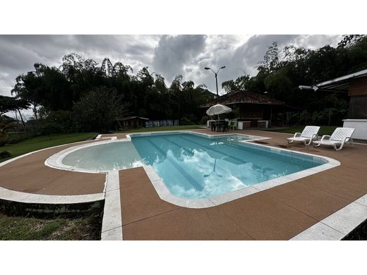 Ferme à Pereira, Departamento de Risaralda