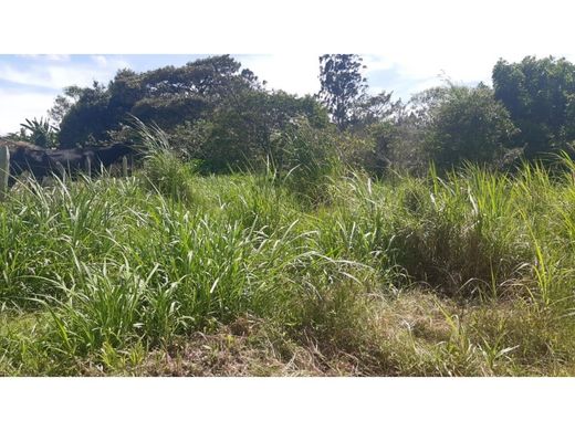 Grundstück in Rionegro, Departamento de Antioquia