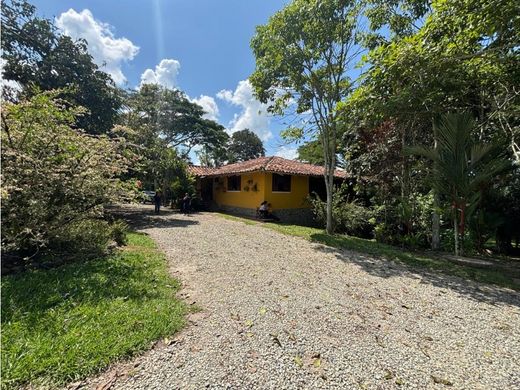 Farmhouse in La Tebaida, Quindío Department