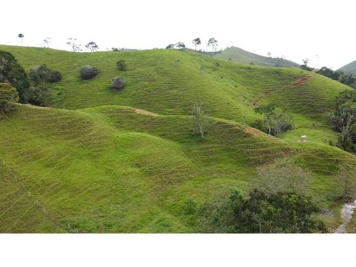 ‏בתים כפריים או חוות ב  Maceo, Departamento de Antioquia
