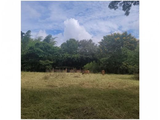 Grundstück in Cali, Departamento del Valle del Cauca