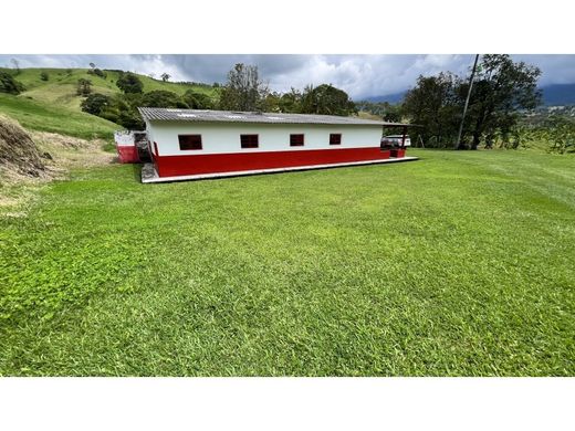 Farmhouse in Calarcá, Calarca