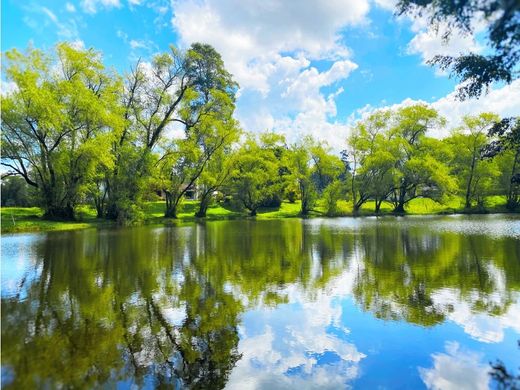 أرض ﻓﻲ Rionegro, Departamento de Antioquia