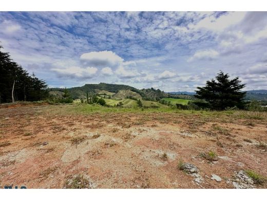 Grundstück in La Ceja, Departamento de Antioquia