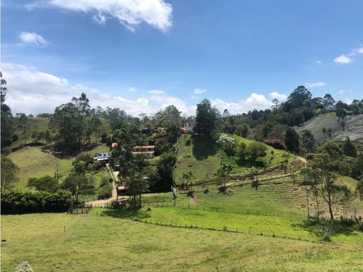 地皮  Rionegro, Departamento de Antioquia