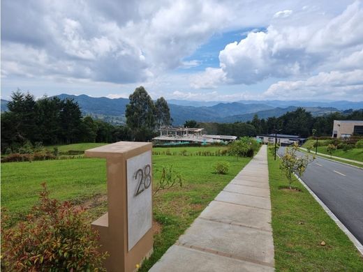 Arsa Envigado, Departamento de Antioquia