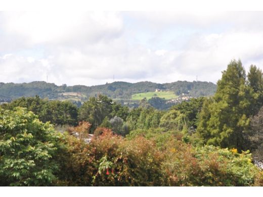 Teren w Envigado, Departamento de Antioquia