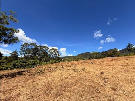 ‏קרקע ב  Carmen de Viboral, El Carmen de Viboral