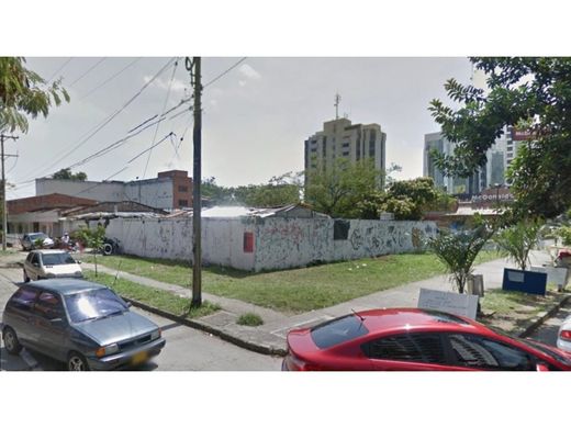 地皮  卡利, Cali