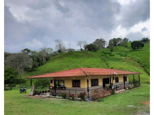 Rustykalny lub Wiejski w Armenia, Quindío Department