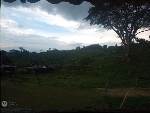 Ferme à Pereira, Departamento de Risaralda