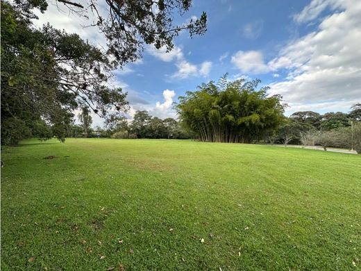 Rionegro, Departamento de Antioquiaの土地