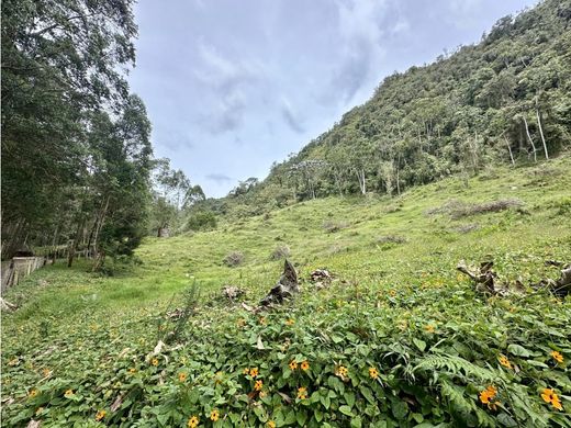 Grundstück in Rionegro, Departamento de Antioquia