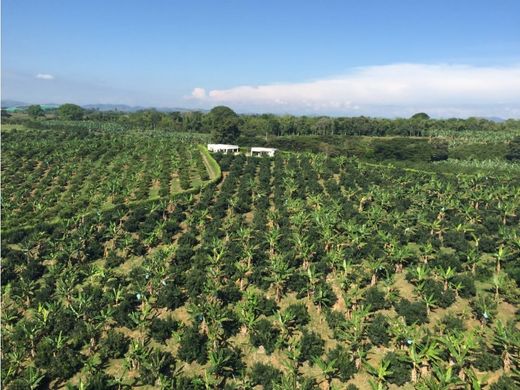 Ρουστίκ ή αγροικία σε Montenegro, Quindío Department