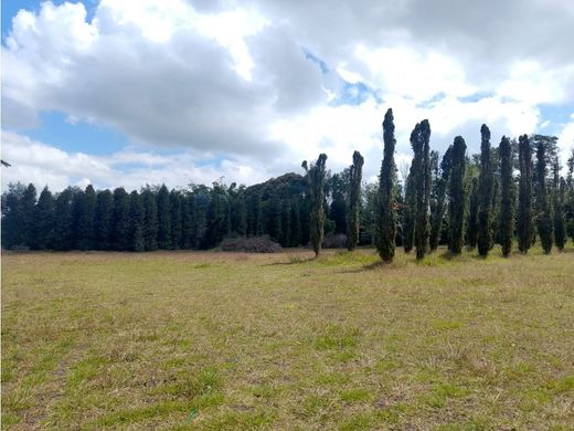 Grundstück in Rionegro, Departamento de Antioquia