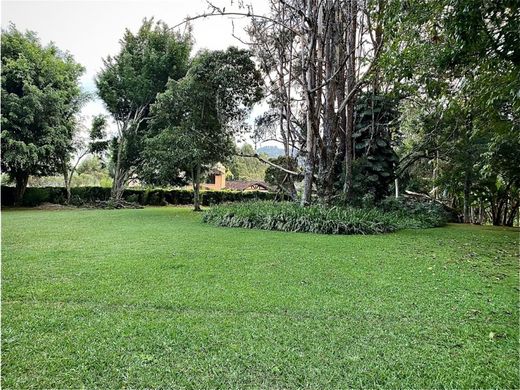 Terreno - Rionegro, Departamento de Antioquia
