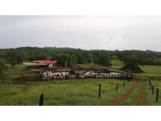 Ferme à Montería, Departamento de Córdoba