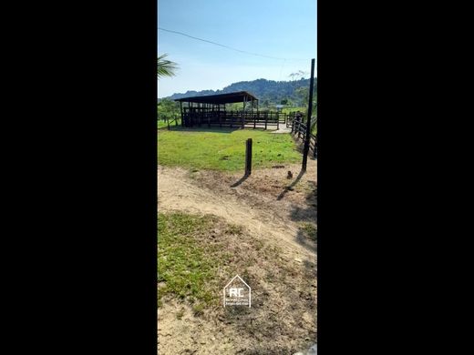 Boerderij in Cimitarra, Departamento de Santander