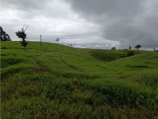 Gutshaus oder Landhaus in Circasia, Quindío Department